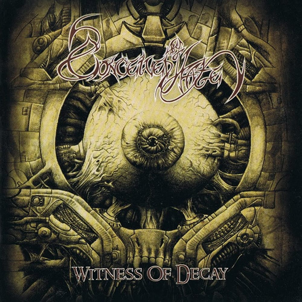 Witness Of Decay