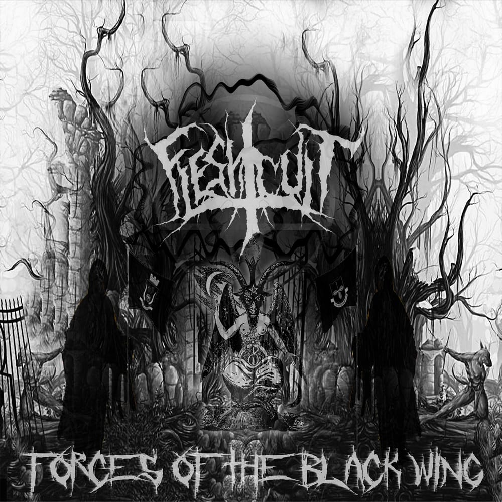 Forces Of The Black Wing
