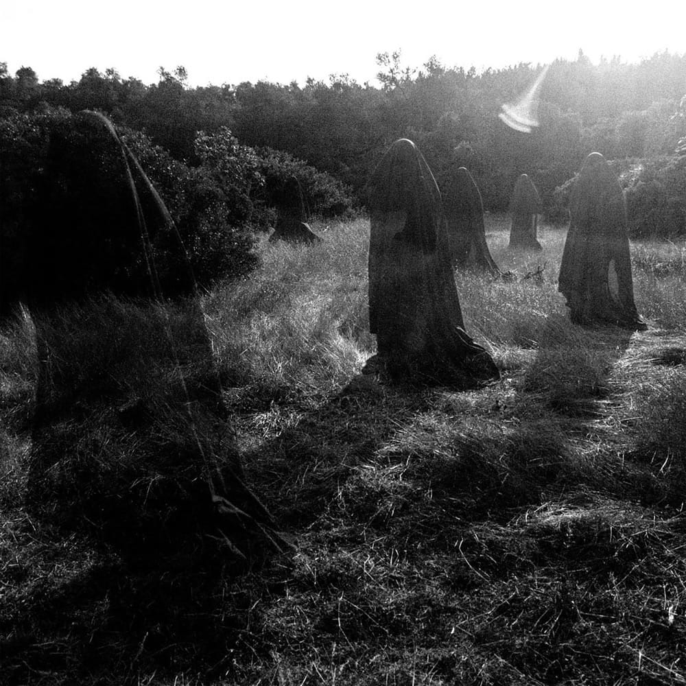 Part I: The Birthing Crypt