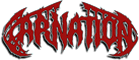 Carnation