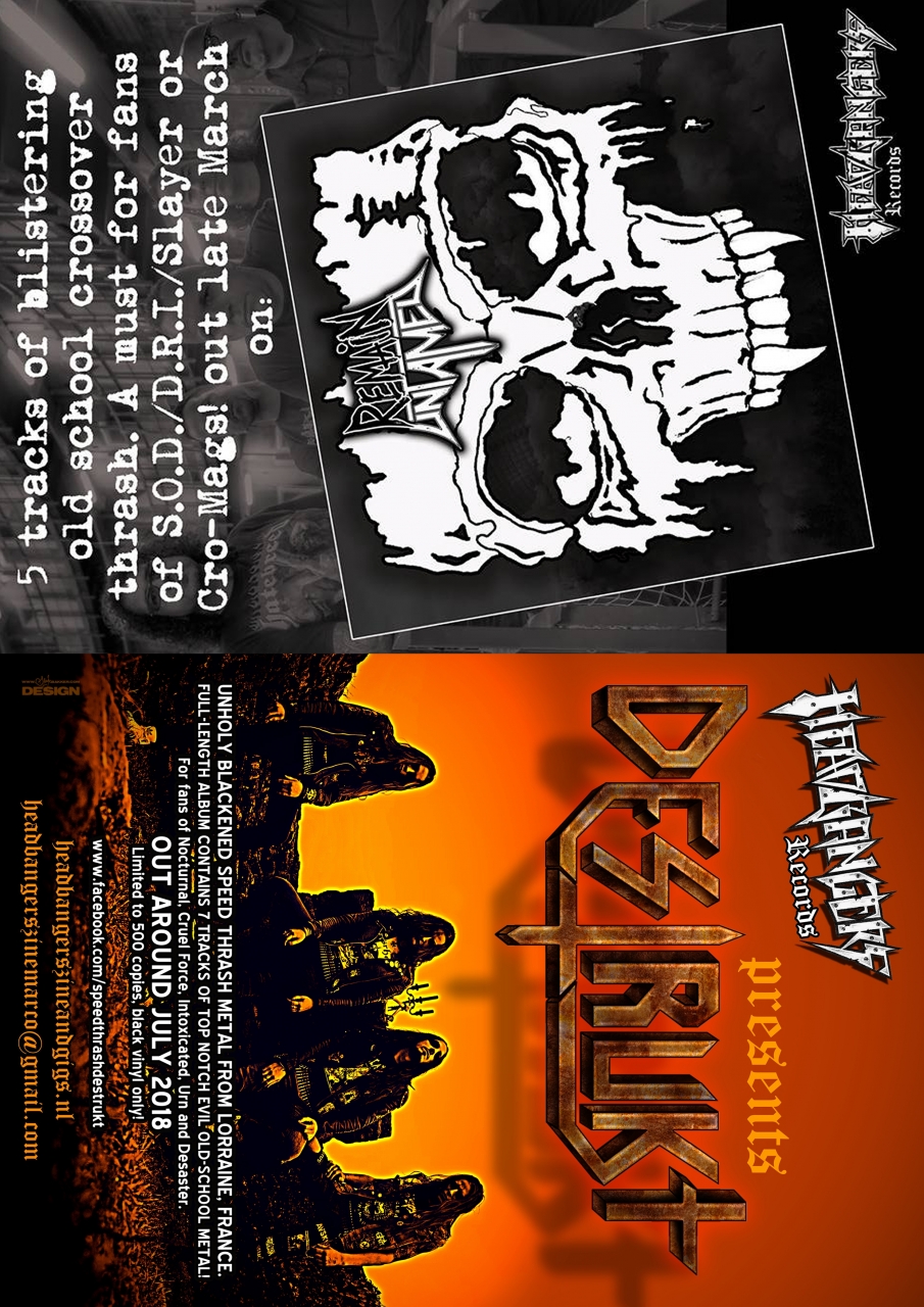flyer back