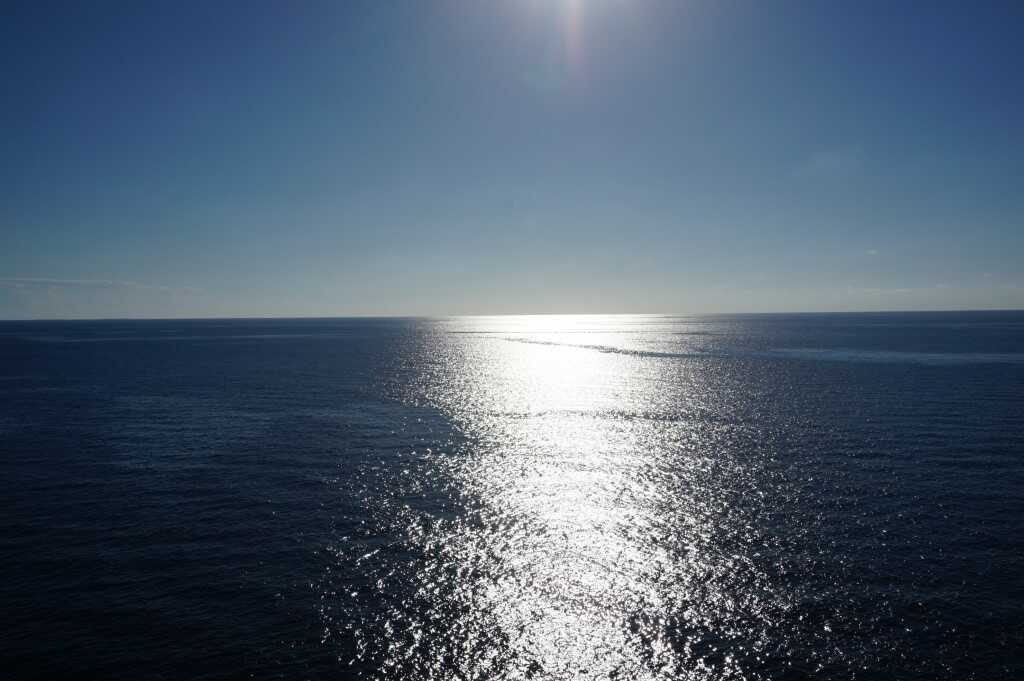 dsc00605_optimized